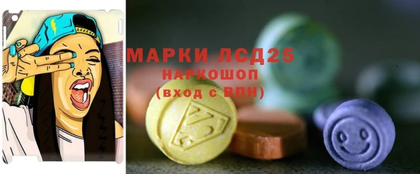 PSILOCYBIN Богданович
