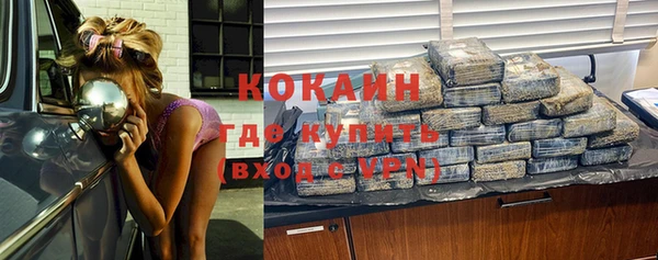 стаф Богородицк