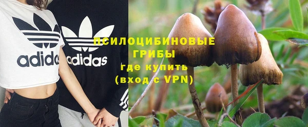 PSILOCYBIN Богданович