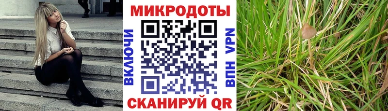 Псилоцибиновые грибы MAGIC MUSHROOMS  цена наркотик  Бор 